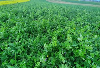 viterra®  UNIVERSAL N-PLUS